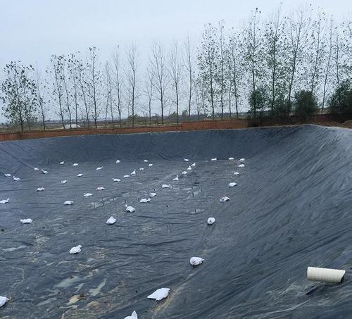 圖片.png 圖片.png