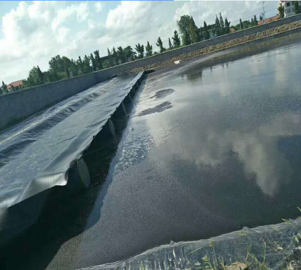 圖片.png 圖片.png