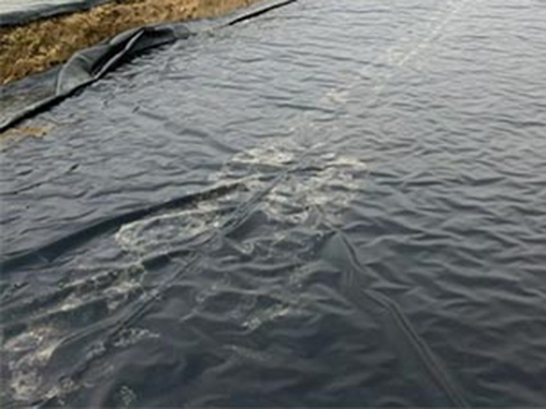 淺水藕池、水產(chǎn)養(yǎng)殖